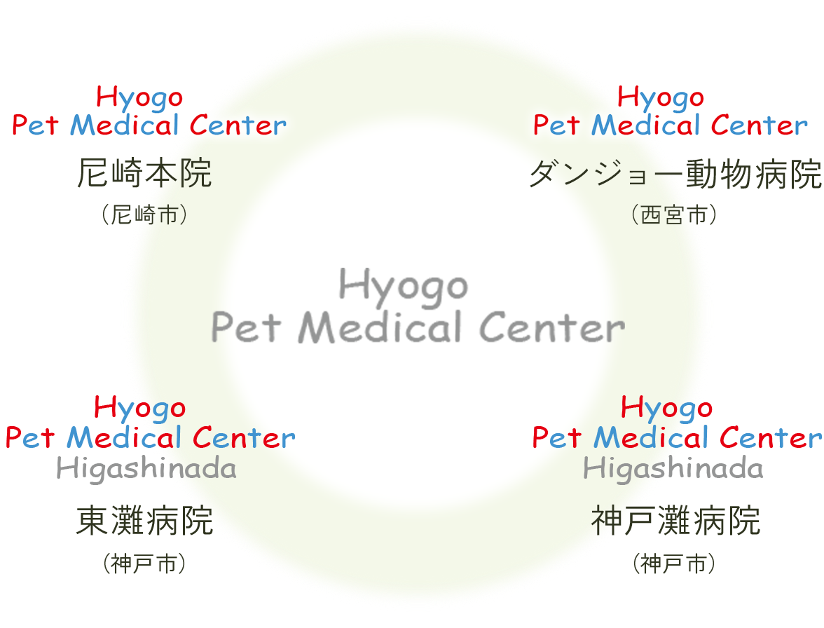 Hyogo Pet Medical Center　尼崎本院（尼崎市）・ダンジョー動物病院（尼崎市）・東灘病院（神戸市）・神戸灘病院（神戸市）
